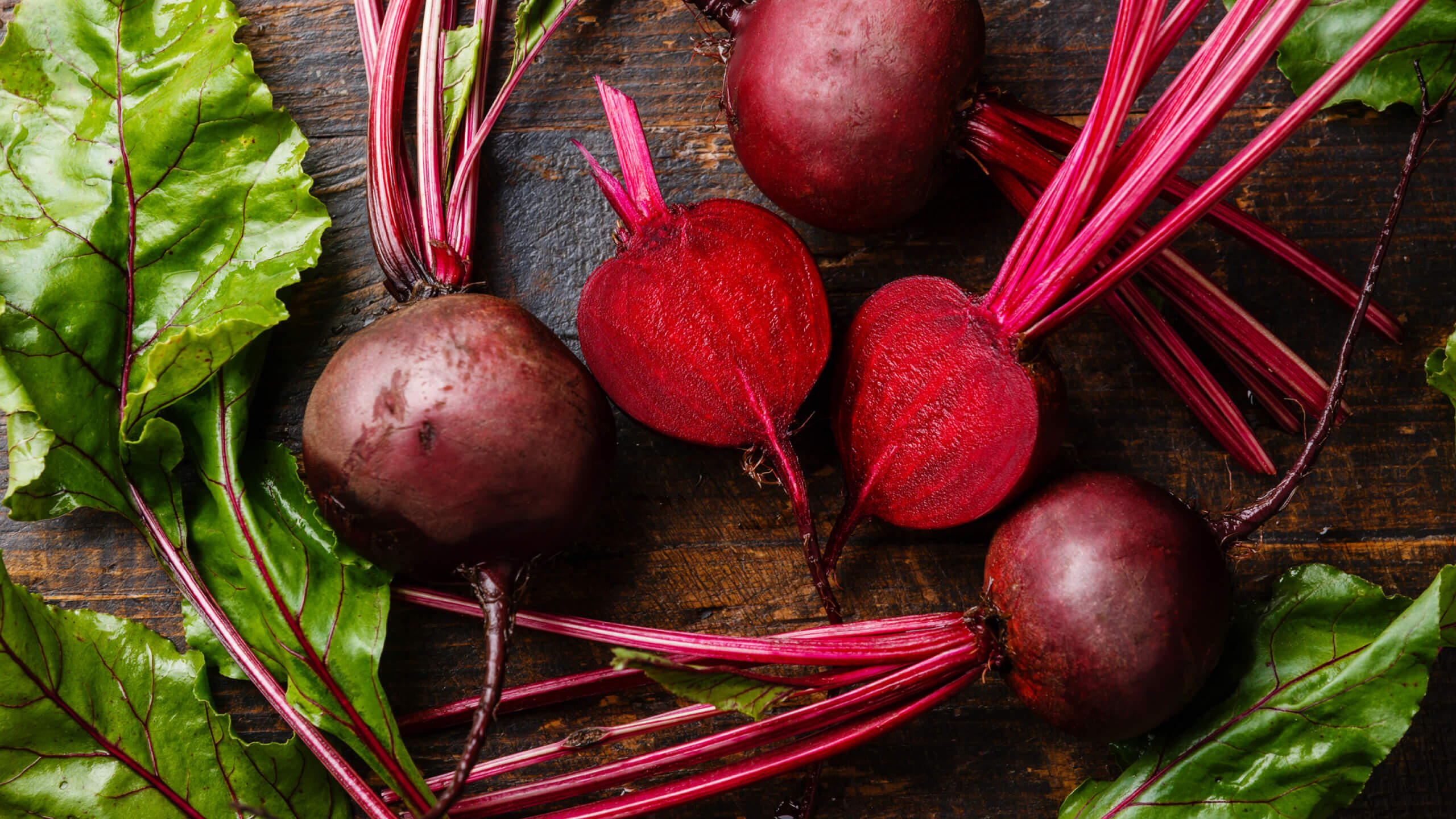 Rote-Bete auf Eichblattsalat – tri.balance Rote-Bete auf Eichblattsalat – tri.balance